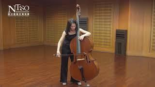 國立臺灣交響樂團_樂器示範_contra bass