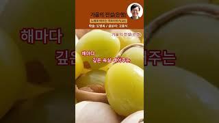 【약초대학TV】가을의 전설(은행나무), 은행잎의 놀라운 효능