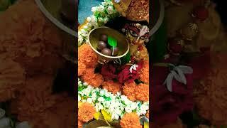 plz subscribe my channel  ami tmdar gopu sona