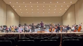 Umitaro ABE : Paeonia suffruticosa Andrews / ボタン  [Rehearsal]