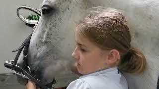 [ Équitation]une journée dans ma peau en CSO (Victoire)