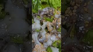 쓰러진 소도 일으킨다는 한국인의 별미 산낙지️ 산낙지 위에 청양고추 참기름 깨소금 퐉퐉 #산낙지 #먹고싶다 #지금 #이거먹으면 #독감떨어질것같아 #산지직송