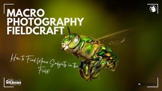 Fieldcraft - Finding Macro Photography Subjects in the Field