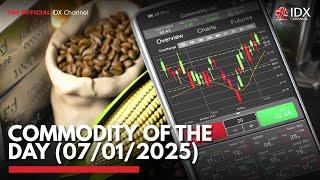 Commodity of the Day (07/01/2025) | IDX CHANNEL