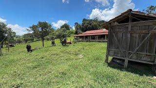 INDISPONÍVELChácara de R$ 128.000,00 com casa recém construída e terreno de 1.500 mts