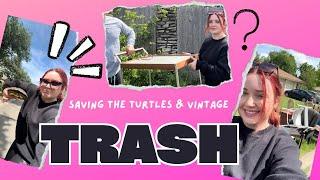 Saving the Turtles & Vintage Trash