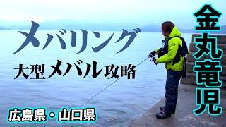 12月の瀬戸内で大型狙いのメバリング！ 1/2 『Mebarin Gate 1 金丸竜児×高水温の瀬戸内』イントロver.【釣りビジョン】その①