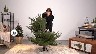 iGarden.nl Everlands Norway Spruce kunstkerstboom opbouwinstructie