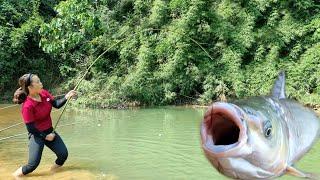 30 days: highland girl fishes and catches giant fish in natural streams to sell to the market