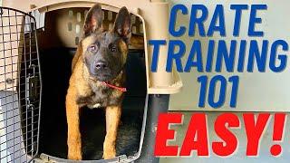 EASIEST CRATE TRAINING VIDEO EVER!!  FIRST STEPS!!  MUST SEE - Part 1 // ANDY KRUEGER