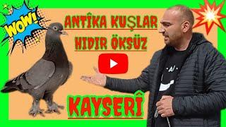 ️ Kentsel dönüşüme giren  tarihi güvercin çiftliği