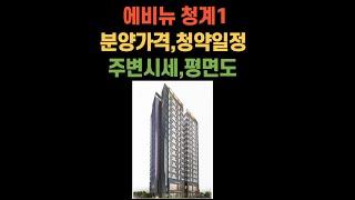 2021 05 15,에비뉴 청계1 분양가격 청약일정 평면도 주변시세등