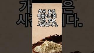 삼실 분말가루 복용하기 적합한 시간은 언제일까요? #삼칠#삼칠근#복용방법#중국희귀약초