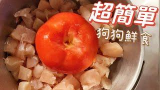 自家製狗狗濕糧ㅣHomemade Dog Food #diy #cooking #dogfood#狗糧