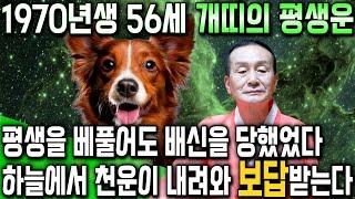 2025년 을사년 56세 개띠운세 심상치않다?! 무당에게 70년생 개띠운세를 묻자.. 수십억 횡재수로 지난날을 보답받습니다!! 1970년생 56세 개띠 운세