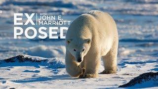 Expedition to the Arctic! | EXPOSED Wildlife Photography | EP 10