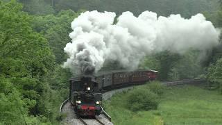 Steam locomotives in the Palatinate | 40 years of the cuckoo train (4K)