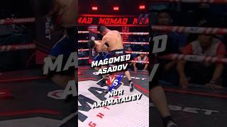 Magomed Asadov VS Nur Akhmataliev #nomadfighting #mma #ufc #boxing #fighting #sports #бой #бокс