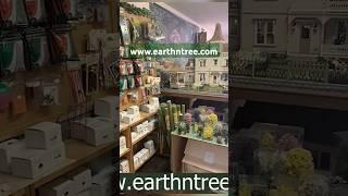 the biggest dollhouse store in New England #dollhouseminiatures #shopping #dollhouse #haul #store