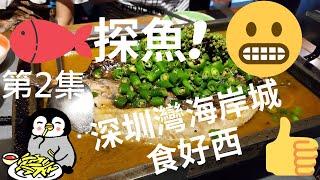 [著數情報.深圳] #33 海岸城揾食篇，探魚，深圳灣去海岸城只需15分鐘! 深圳一日遊