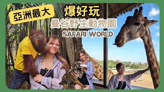 [Travel ️ 泰國] 開箱曼谷爆好玩野生動物園 | Safari World可愛老虎BB合照比馬嬲咸濕