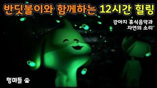 #멍마들  분리불안 반려견을 위한 힐링영상 자연의 소리와 음악으로 편안함을.. - Healing video for dogs with separation anxiety