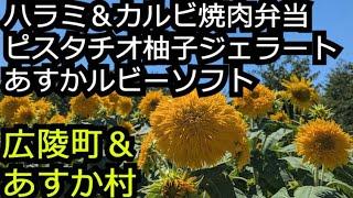 焼肉店のお得ハラミカルビ弁当と本格ジェラート＆大人気あすかルビーソフト【奈良 広陵町明日香村】