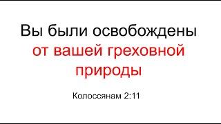 Греховной природы не существует. Кол 2:11 | Александр Ривер