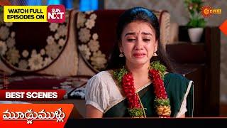 Moodu Mullu - Best Scenes | 26 Nov 2024  | Gemini TV | Telugu Serial