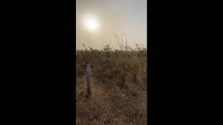 Potential Plots of Land for Sale in the Village of Jiboroh in the Gambia!!!