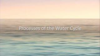 Processes of the Water Cycle (A-Level Geography)