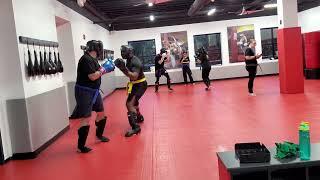 Tiger Schulmann's Light sparring.