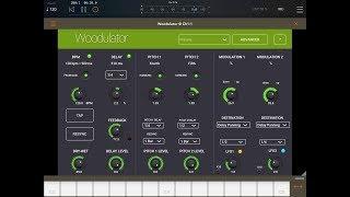 WOODULATOR Delay Pitch Modulator - AUv3 Effect - Demo for the iPad