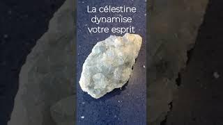 La célestine stimule votre esprit