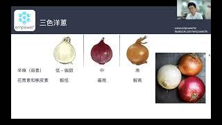 食一世：家居必備食材--洋蔥