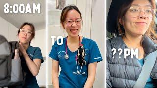 Day in the life of a veterinarian from 8am to 8pm (realistic & unglamorous)