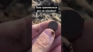 #metaldetecting #коп #coin #поисксметаллоискателем #2024 #копвчехії #shorts #шукачскарбів