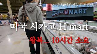 왕복 10시간 걸리는 미국 시카고 한국마트 H mart , 미국 공무원 일상 브이로그