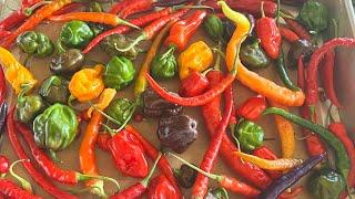 Dehydrated peppers, dehydrating, pepper flakes, dehydrating using the oven ￼