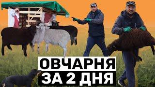 Овчарня за 2 дня + первые постояльцы