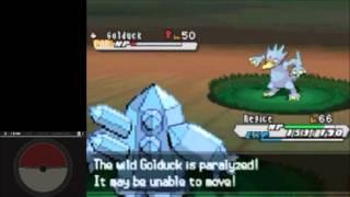 Hidden Grotto - Route 23 - Gligar, Absol, Golduck, Zangoose, Seviper - Pokemon Black 2 & White 2