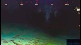 Somewhere in the Pacific Ocean something scary was caught by an underwater drone