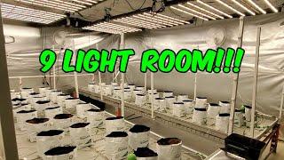 GROW ROOM OVERVIEW!!! Explained. Terpy Highs