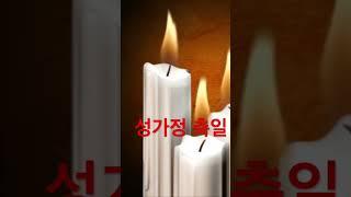 1분말씀 성가정 축일 shorts #shorts