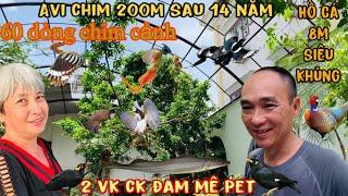 Chiêm ngưỡng Avi 200m 60 dòng chim và hồ Cá khủng 8m-Thái Salem vê lốc