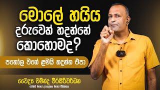 මොලේ හයිය දරුවෙක් හදන්නේ කොහොමද ? | Dr Chaminda Weerasiriwardane