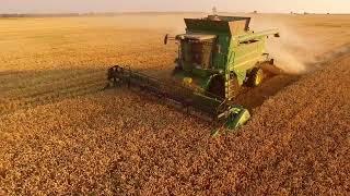 Global Grain Farming Market- Part 2