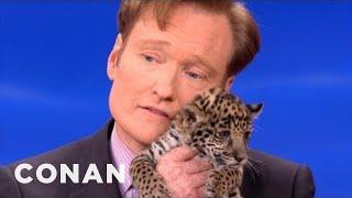 Animal Expert David Mizejewski: Baby Jaguars & Binturong | CONAN on TBS