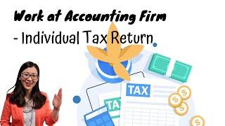 13. Individual Tax Return | [How to work in Accounting Firms] | Qianmo