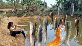 The fastest most effective way to catch giant fish with special bamboo fishing rod, cook fish dishes